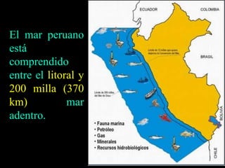 El mar peruano
está
comprendido
entre el litoral y
200 milla (370
km) mar
adentro.
 