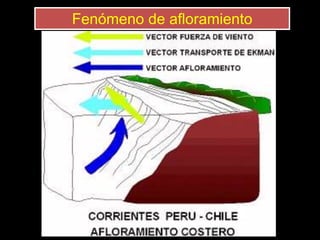 Fenómeno de afloramiento
 