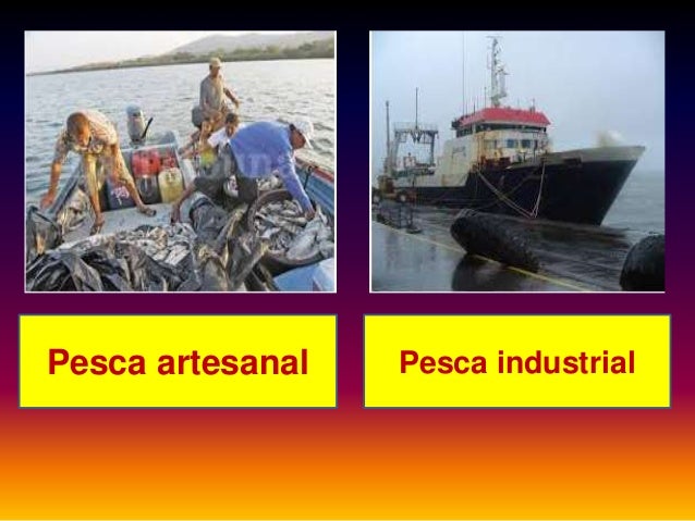 Tipos De Pesca Artesanal E Industrial cuantosabesdecrysubiodiversidad.blogspot.com