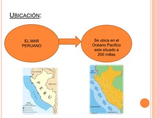 UBICACIÓN:
EL MAR
PERUANO
Se ubica en el
Océano Pacifico
esta situado a
200 millas