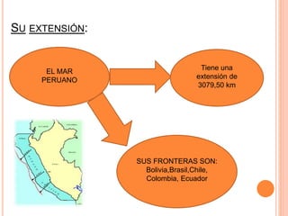 SU EXTENSIÓN:
EL MAR
PERUANO
Tiene una
extensión de
3079,50 km
SUS FRONTERAS SON:
Bolivia,Brasil,Chile,
Colombia, Ecuador