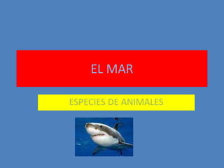 EL MAR
ESPECIES DE ANIMALES
 