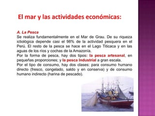 El mar y las actividades económicas:
A. La Pesca
Se realiza fundamentalmente en el Mar de Grau. De su riqueza
ictiológica depende casi el 98% de la actividad pesquera en el
Perú. El resto de la pesca se hace en el Lago Titicaca y en las
aguas de los ríos y cochas de la Amazonía.
Por la forma de pesca, hay dos tipos: la pesca artesanal, en
pequeñas proporciones; y la pesca Industrial a gran escala.
Por el tipo de consumo, hay dos clases: para consumo humano
directo (fresco, congelado, saldo y en conserva) y de consumo
humano indirecto (harina de pescado).

 