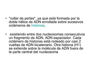 "collar de perlas", ya que está formada por la doble hélice de ADN enrollada sobre sucesivos octámeros de  histonas , existiendo entre dos nucleosomas consecutivos un fragmento de ADN, ADN espaciador. Cada octámero de histonas está rodeado por casi 2 vueltas de ADN bicatenario. Otra histona (H1) se extiende sobre la molécula de ADN fuera de la parte central del nucleosoma 