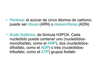 Pentosa : el azúcar de cinco átomos de carbono; puede ser  ribosa  (ARN) o  desoxirribosa  (ADN).  Ácido fosfórico : de fórmula H3PO4. Cada nucleótido puede contener uno (nucleótidos-monofosfato, como el  AMP ), dos (nucleótidos-difosfato, como el  ADP ) o tres (nucleótidos-trifosfato, como el  ATP ) grupos fosfato 