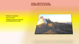 Perpetuar la especie.
Vivir en común.
Prestarse ayuda en todas las
circunstancias de la vida.
 