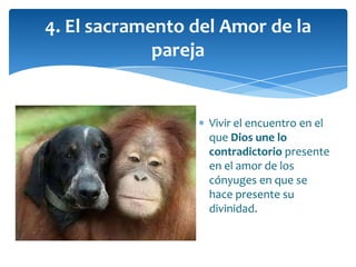 Vivir el encuentro en el
que Dios une lo
contradictorio presente
en el amor de los
cónyuges en que se
hace presente su
divinidad.
4. El sacramento del Amor de la
pareja
 