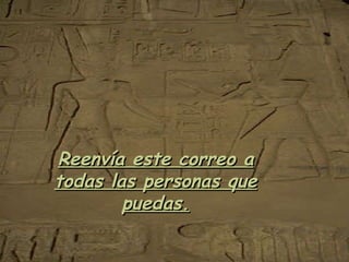 Reenvía este correo a todas las personas que puedas. 