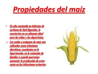 Propiedades del maíz
• Su alto contenido en hidratos de
  carbono de fácil digestión, lo
  convierten en un alimento ideal
  para los niños y los deportistas.
o Las sedas o estigmas de maíz son
  utilizadas como infusiones
  diuréticas, excelentes en la
  hipertensión, en la retención de
  líquidos o cuando queremos
  aumentar la producción de orina
  como en las infecciones urinarias.
 