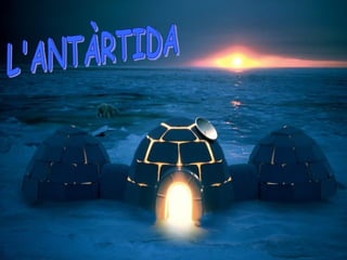 L'ANTÀRTIDA 