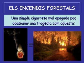 ELS   INCENDIS FORESTALS Una simple cigarreta mal apagada poc ocasionar una tragèdia com aquesta: 