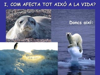 I, COM AFECTA TOT AIXÒ A LA VIDA? Doncs així: 