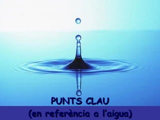 PUNTS CLAU (en referència a l’aigua) 