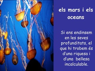 els mars i els oceans Si ens endinsem en les seves profunditats, el que hi trobem és d’una riquesa i d’una  bellesa incalculable. 