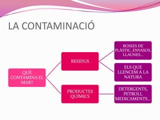 LA CONTAMINACIÓ
QUÈ
CONTAMINA EL
MAR?
RESIDUS
BOSSES DE
PLÀSTIC, ENVASOS,
LLAUNES...
ELS QUE
LLENCEM A LA
NATURA
PRODUCTES
QUÍMICS
DETERGENTS,
PETROLI,
MEDICAMENTS...
 