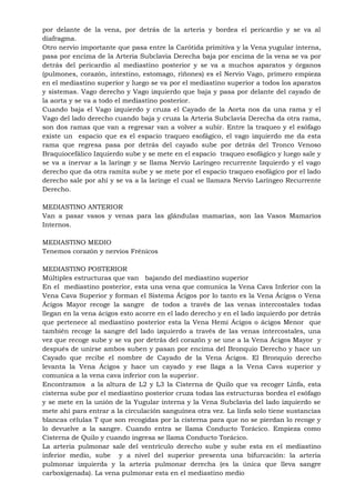 por delante de la vena, por detrás de la arteria y bordea el pericardio y se va al
diafragma.
Otro nervio importante que pasa entre la Carótida primitiva y la Vena yugular interna,
pasa por encima de la Arteria Subclavia Derecha baja por encima de la vena se va por
detrás del pericardio al mediastino posterior y se va a muchos aparatos y órganos
(pulmones, corazón, intestino, estomago, riñones) es el Nervio Vago, primero empieza
en el mediastino superior y luego se va por el mediastino superior a todos los aparatos
y sistemas. Vago derecho y Vago izquierdo que baja y pasa por delante del cayado de
la aorta y se va a todo el mediastino posterior.
Cuando baja el Vago izquierdo y cruza el Cayado de la Aorta nos da una rama y el
Vago del lado derecho cuando baja y cruza la Arteria Subclavia Derecha da otra rama,
son dos ramas que van a regresar van a volver a subir. Entre la traqueo y el esófago
existe un espacio que es el espacio traqueo esofágico, el vago izquierdo me da esta
rama que regresa pasa por detrás del cayado sube por detrás del Tronco Venoso
Braquiocefálico Izquierdo sube y se mete en el espacio traqueo esofágico y luego sale y
se va a inervar a la laringe y se llama Nervio Laríngeo recurrente Izquierdo y el vago
derecho que da otra ramita sube y se mete por el espacio traqueo esofágico por el lado
derecho sale por ahí y se va a la laringe el cual se llamara Nervio Laríngeo Recurrente
Derecho.
MEDIASTINO ANTERIOR
Van a pasar vasos y venas para las glándulas mamarias, son las Vasos Mamarios
Internos.
MEDIASTINO MEDIO
Tenemos corazón y nervios Frénicos
MEDIASTINO POSTERIOR
Múltiples estructuras que van bajando del mediastino superior
En el mediastino posterior, esta una vena que comunica la Vena Cava Inferior con la
Vena Cava Superior y forman el Sistema Ácigos por lo tanto es la Vena Ácigos o Vena
Ácigos Mayor recoge la sangre de todos a través de las venas intercostales todas
llegan en la vena ácigos esto acorre en el lado derecho y en el lado izquierdo por detrás
que pertenece al mediastino posterior esta la Vena Hemi Ácigos o ácigos Menor que
también recoge la sangre del lado izquierdo a través de las venas intercostales, una
vez que recoge sube y se va por detrás del corazón y se une a la Vena Ácigos Mayor y
después de unirse ambos suben y pasan por encima del Bronquio Derecho y hace un
Cayado que recibe el nombre de Cayado de la Vena Ácigos. El Bronquio derecho
levanta la Vena Ácigos y hace un cayado y ese llaga a la Vena Cava superior y
comunica a la vena cava inferior con la superior.
Encontramos a la altura de L2 y L3 la Cisterna de Quilo que va recoger Linfa, esta
cisterna sube por el mediastino posterior cruza todas las estructuras bordea el esófago
y se mete en la unión de la Yugular interna y la Vena Subclavia del lado izquierdo se
mete ahí para entrar a la circulación sanguínea otra vez. La linfa solo tiene sustancias
blancas células T que son recogidas por la cisterna para que no se pierdan lo recoge y
lo devuelve a la sangre. Cuando entra se llama Conducto Torácico. Empieza como
Cisterna de Quilo y cuando ingresa se llama Conducto Torácico.
La arteria pulmonar sale del ventrículo derecho sube y sube esta en el mediastino
inferior medio, sube y a nivel del superior presenta una bifurcación: la arteria
pulmonar izquierda y la arteria pulmonar derecha (es la única que lleva sangre
carboxigenada). La vena pulmonar esta en el mediastino medio
 