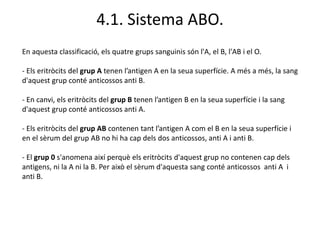 4.1. Sistema ABO.
En aquesta classificació, els quatre grups sanguinis són l'A, el B, l'AB i el O.
- Els eritròcits del grup A tenen l’antigen A en la seua superfície. A més a més, la sang
d'aquest grup conté anticossos anti B.
- En canvi, els eritròcits del grup B tenen l’antigen B en la seua superfície i la sang
d'aquest grup conté anticossos anti A.
- Els eritròcits del grup AB contenen tant l’antigen A com el B en la seua superfície i
en el sèrum del grup AB no hi ha cap dels dos anticossos, anti A i anti B.
- El grup 0 s'anomena així perquè els eritròcits d'aquest grup no contenen cap dels
antigens, ni la A ni la B. Per això el sèrum d'aquesta sang conté anticossos anti A i
anti B.
 