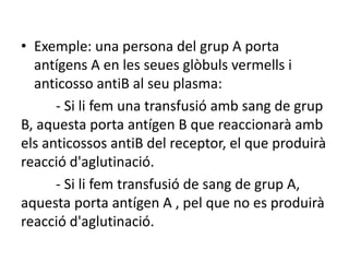 • Exemple: una persona del grup A porta
antígens A en les seues glòbuls vermells i
anticosso antiB al seu plasma:
- Si li fem una transfusió amb sang de grup
B, aquesta porta antígen B que reaccionarà amb
els anticossos antiB del receptor, el que produirà
reacció d'aglutinació.
- Si li fem transfusió de sang de grup A,
aquesta porta antígen A , pel que no es produirà
reacció d'aglutinació.
 