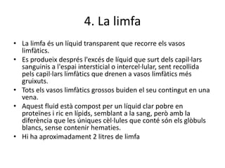 4. La limfa
• La limfa és un líquid transparent que recorre els vasos
limfàtics.
• Es produeix després l'excés de líquid que surt dels capil·lars
sanguinis a l'espai intersticial o intercel·lular, sent recollida
pels capil·lars limfàtics que drenen a vasos limfàtics més
gruixuts.
• Tots els vasos limfàtics grossos buiden el seu contingut en una
vena.
• Aquest fluid està compost per un líquid clar pobre en
proteïnes i ric en lípids, semblant a la sang, però amb la
diferència que les úniques cèl·lules que conté són els glòbuls
blancs, sense contenir hematies.
• Hi ha aproximadament 2 litres de limfa
 
