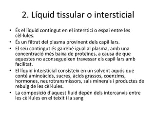 2. Líquid tissular o intersticial
• És el líquid contingut en el interstici o espai entre les
cèl·lules.
• És un filtrat del plasma provinent dels capil·lars.
• El seu contingut és gairebé igual al plasma, amb una
concentració més baixa de proteïnes, a causa de que
aquestes no aconsegueixen travessar els capil·lars amb
facilitat.
• El líquid intersticial consisteix en un solvent aquós que
conté aminoàcids, sucres, àcids grassos, coenzims,
hormones, neurotransmissors, sals minerals i productes de
rebuig de les cèl·lules.
• La composició d'aquest fluid depèn dels intercanvis entre
les cèl·lules en el teixit i la sang
 
