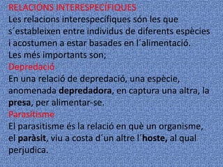 RELACIÓNS INTERESPECÍFIQUES
Les relacions interespecífiques són les que
s´estableixen entre individus de diferents espècies
i acostumen a estar basades en l´alimentació.
Les més importants son;
Depredació
En una relació de depredació, una espècie,
anomenada depredadora, en captura una altra, la
presa, per alimentar-se.
Parasitisme
El parasitisme és la relació en què un organisme,
el paràsit, viu a costa d´un altre l´hoste, al qual
perjudica.
 