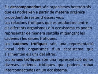Els descomponedors són organismes heteròtrofs
que es nodreixen a partir de matèria orgànica
procedent de restes d´éssers vius.
Les relacions tròfiques que es produeixen entre
els diferents organismes d´n ecosistema es poden
representar de manera senzilla mitjançant les
cadenes i les xarxes tròfiques.
Les cadenes tròfiques són una representació
lineal dels organismes d´un ecosistema que
s´alimentan els uns del altres.
Les xarxes tròfiques són una representació de les
diverses cadenes tròfiques que podem trobar
interconnectades en un ecosistema.
 