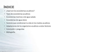 ÍNDICE
• ¿Qué son los ecosistemas acuáticos?
• Tipos de ecosistemas acuáticos
• Ecosistemas marinos o de agua salada
• Ecosistemas de agua dulce
• Factores que condicionan la vida en los medios acuáticos
• Adaptaciones de los organismos acuáticos a estos factores
• Conclusión + preguntas
• Bibliografía
 