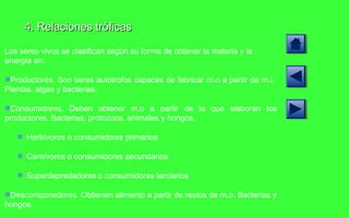 4. Relaciones tróficas Los seres vivos se clasifican según su forma de obtener la materia y la energía en: Productores . Son seres autótrofos capaces de fabricar m.o a partir de m.i.  Plantas, algas y bacterias. Consumidores . Deben obtener m.o a partir de la que elaboran los productores. Bacterias, protozoos, animales y hongos. Herbívoros o consumidores primarios Carnívoros o consumidores secundarios Superdepredadores o consumidores terciarios Descomponedores.  Obtienen alimento a partir de restos de m.o. Bacterias y hongos.  