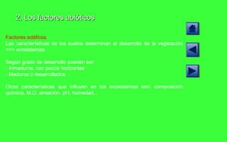 Factores edáficos Las características de los suelos determinan el desarrollo de la vegetación ==> ecosistemas. Según grado de desarrollo pueden ser: - Inmaduros, con pocos horizontes - Maduros o desarrollados Otras características que influyen en los ecosistemas son: composición química, M.O, aireación, pH, humedad... 2. Los factores abióticos 
