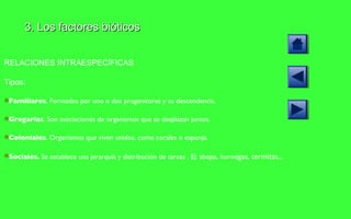 3. Los factores bióticos RELACIONES INTRAESPECÍFICAS Tipos: Familiares . Formados por uno o dos progenitores y su descendencia. Gregarias . Son asociaciones de organismos que se desplazan juntos. Coloniales . Organismos que viven unidos, como corales o esponja. Sociales.  Se establece una jerarquía y distribución de tareas . Ej: abejas, horm igas, termitas... 