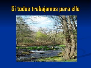 Si todos trabajamos para ello