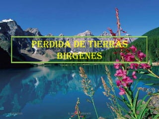 PERDIDA DE TIERRAS
                  BIRGENES




21/07/2010         EL MEDIO AMBIENTE   11
 