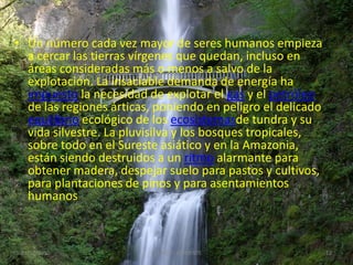 • Un número cada vez mayor de seres humanos empieza
  a cercar las tierras vírgenes que quedan, incluso en
  áreas consideradas más o menos a salvo de la
  explotación. La insaciable demanda de energía ha
  impuesto la necesidad de explotar el gas y el petróleo
  de las regiones árticas, poniendo en peligro el delicado
  equilibrio ecológico de los ecosistemasde tundra y su
  vida silvestre. La pluvisilva y los bosques tropicales,
  sobre todo en el Sureste asiático y en la Amazonia,
  están siendo destruidos a un ritmo alarmante para
  obtener madera, despejar suelo para pastos y cultivos,
  para plantaciones de pinos y para asentamientos
  humanos



 21/07/2010              EL MEDIO AMBIENTE                   12
 
