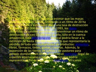 • . En la década de 1980 se llegó a estimar que las masas
  forestales estaban siendo destruidas a un ritmo de 20 ha
  por minuto. Otra estimación daba una tasa de destrucción
  de más de 200.000 km2 al año. En 1993, los datos
  obtenidos vía satélite permitieron determinar un ritmo de
  destrucción de casi 15.000 km2 al año, sólo en la cuenca
  amazónica. Esta deforestación tropical podría llevar a la
  extinción de hasta 750.000 especies, lo que representaría la
  pérdida de toda una multiplicidad de productos: alimentos,
  fibras, fármacos, tintes, gomas y resinas. Además, la
  expansión de las tierras de cultivo y de pastoreo para
  ganado doméstico en África, así como el comercio ilegal de
  especies amenazadas y productos animales podría
  representar el fin de los grandes mamíferos africanos.

21/07/2010                EL MEDIO AMBIENTE                 13
 