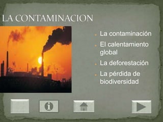● La contaminación
● El calentamiento
global
● La deforestación
● La pérdida de
biodiversidad
 