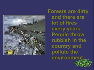 Forests are dirty and there are  lot of fires every years.  People throw rubbish in the country and pollute the environment. 