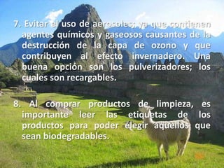 7. Evitar el uso de aerosoles; ya que contienen agentes químicos y gaseosos causantes de la destrucción de la capa de ozono y que contribuyen al efecto invernadero. Una buena opción son los pulverizadores; los cuales son recargables. 8. Al comprar productos de limpieza, es importante leer las etiquetas de los productos para poder elegir aquellos que sean biodegradables. 