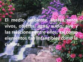 El medio ambiente abarca seres vivos, objetos, agua, suelo, aire y las relaciones entre ellos, así como elementos tan intangibles como la cultura. 
