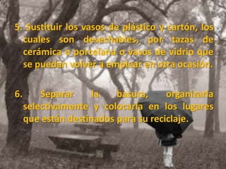 5. Sustituir los vasos de plástico y cartón, los cuales son desechables, por tazas de cerámica o porcelana o vasos de vidrio que se puedan volver a emplear en otra ocasión. 6. Separar la basura, organizarla selectivamente y colocarla en los lugares que están destinados para su reciclaje.