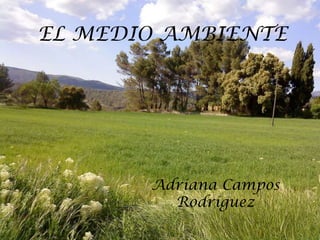 EL MEDIO AMBIENTE  Adriana Campos Rodríguez 