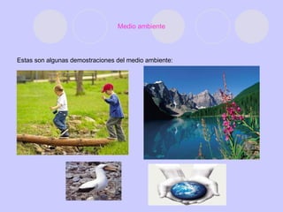 Medio ambiente Estas son algunas demostraciones del medio ambiente:   