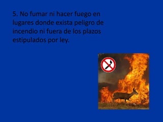 5. No fumar ni hacer fuego en
lugares donde exista peligro de
incendio ni fuera de los plazos
estipulados por ley.
 