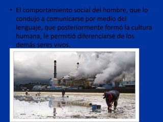 • El comportamiento social del hombre, que lo
  condujo a comunicarse por medio del
  lenguaje, que posteriormente formó la cultura
  humana, le permitió diferenciarse de los
  demás seres vivos.
 