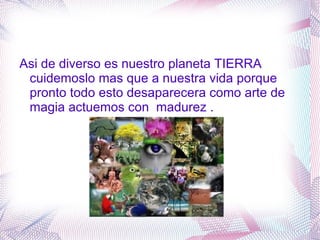 Asi de diverso es nuestro planeta TIERRA
 cuidemoslo mas que a nuestra vida porque
 pronto todo esto desaparecera como arte de
 magia actuemos con madurez .
 