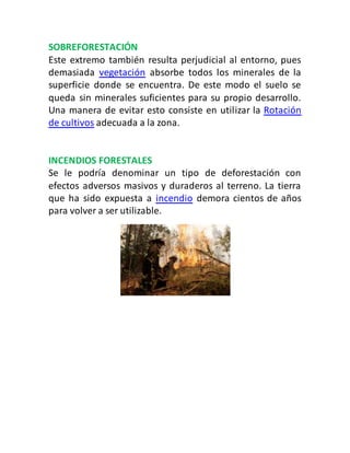 SOBREFORESTACIÓN
Este extremo también resulta perjudicial al entorno, pues
demasiada vegetación absorbe todos los minerales de la
superficie donde se encuentra. De este modo el suelo se
queda sin minerales suficientes para su propio desarrollo.
Una manera de evitar esto consiste en utilizar la Rotación
de cultivos adecuada a la zona.
INCENDIOS FORESTALES
Se le podría denominar un tipo de deforestación con
efectos adversos masivos y duraderos al terreno. La tierra
que ha sido expuesta a incendio demora cientos de años
para volver a ser utilizable.
 