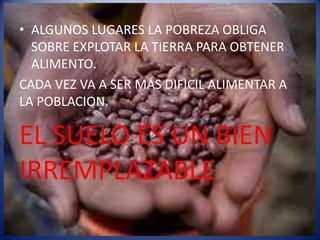 • ALGUNOS LUGARES LA POBREZA OBLIGA
  SOBRE EXPLOTAR LA TIERRA PARA OBTENER
  ALIMENTO.
CADA VEZ VA A SER MÁS DIFICIL ALIMENTAR A
LA POBLACION.

EL SUELO ES UN BIEN
IRREMPLAZABLE
 