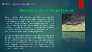 Relación Interespecifica Neutral

Relación por Competencia
Ocurre cuando dos miembros de diferentes especies
pertenecientes a una comunidad tienen las mismas
necesidades por uno o más factores del entorno. Los
individuos de la especie que posee ventajas para
obtener ese factor del medio ambiente será la que
prevalezca. La lucha no es física, sino selectiva. Pueden
ocurrir encuentros casuales entre dos individuos de una y
otra población, pero no es una regla general.
El mejor ejemplo sobre competencia interespecífica es la
de dos especies carnívoras que merodean en la misma
área y se alimentan de las mismas especies; por ejemplo,
los leones y los chitas. Los leones toman ventaja sobre
otras especies carnívoras por su tendencia a la
cooperación entre los miembros de la población y por su
comportamiento social.

 