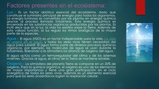 Factores presentes en el ecosistema:
Es un factor abiótico esencial del ecosistema, dado que
constituye el suministro principal de energía para todos los organismos.
La energía luminosa es convertida por las plantas en energía química
gracias al proceso llamado fotosíntesis. Ésta energía química es
encerrada en las substancias orgánicas producidas por las plantas. Es
inútil decir que sin la luz, la vida no existiría sobre la Tierra. Además de
esta valiosa función, la luz regula los ritmos biológicos de la mayor
parte de la especies.

Luz.-

El agua (H2O) es un factor indispensable para la vida. La vida
se originó en el agua, y todos los seres vivos tienen necesidad del
agua para subsistir. El agua forma parte de diversos procesos químicos
orgánicos, por ejemplo, las moléculas de agua se usan durante la
fotosíntesis, liberando a la atmósfera los átomos de oxígeno del agua.
El agua actúa como un termoregulador del clima y de los sistemas
vivientes. Gracias al agua, el clima de la Tierra se mantiene estable.

Agua.-

La atmósfera del planeta Tierra se compone en un 20% de
oxígeno. Para la química orgánica, el oxígeno es uno de los elementos
de mayor importancia y tiene una gran participación en el ciclo
energético de todos los seres vivos, además es un elemento esencial
para que los seres anaeróbicos logren la respiración celular.

Oxigeno.-

 
