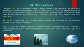 M. Terrestres
En la atmósfera ocurren cambios debido a la interacción, en especial la
temperatura depende de la energía calorífica proporcionada por la luz del sol generalmente; las
zonas con temperatura más baja, donde se recibe menor radiación del sol, tal es el caso de los
polos. Finalmente la temperatura es un factor que limita la distribución de las diferentes especies de
seres vivos.

Temperatura:

Cantidad de agua contenida en la atmósfera, nos indica que tipo de organismos
pueden habitar en los ecosistemas.

Humedad:

Es la principal fuente de energía que mantiene directa e indirectamente a los ecosistemas, es
indispensable para que se realice la fotosíntesis y con la cual se inicia el flujo de energía en el
ecosistema

Luz:

 