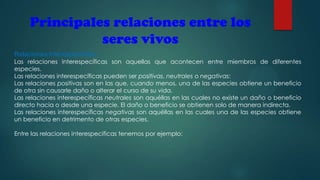 Principales relaciones entre los
seres vivos
Relaciones Interespecificas:

Las relaciones interespecíficas son aquellas que acontecen entre miembros de diferentes
especies.
Las relaciones interespecíficas pueden ser positivas, neutrales o negativas:
Las relaciones positivas son en las que, cuando menos, una de las especies obtiene un beneficio
de otra sin causarle daño o alterar el curso de su vida.
Las relaciones interespecíficas neutrales son aquéllas en las cuales no existe un daño o beneficio
directo hacia o desde una especie. El daño o beneficio se obtienen solo de manera indirecta.
Las relaciones interespecíficas negativas son aquéllas en las cuales una de las especies obtiene
un beneficio en detrimento de otras especies.

Entre las relaciones interespecificas tenemos por ejemplo:

 